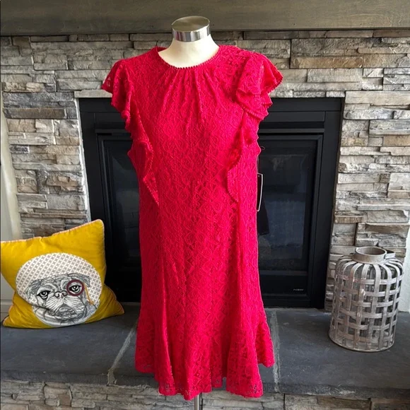 Julia Jordan Red Ruffled Mini Dress - Picture 2 of 14